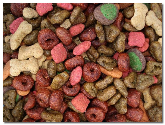 best dry dog food for chihuahuas
